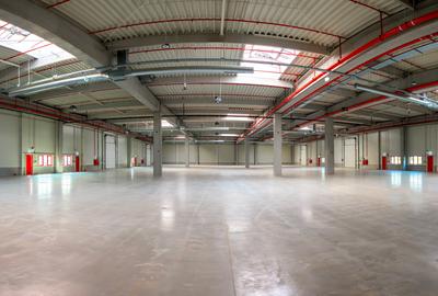 Spațiu industrial, de 10,000 mp, în Exterior Sud