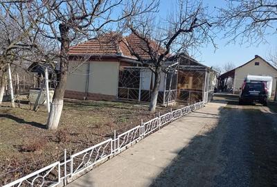 Casă cu 4 camere în Viile Satu Mare - 3