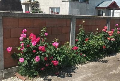 Casă cu Teren 472 Mp în Vărăști - 2