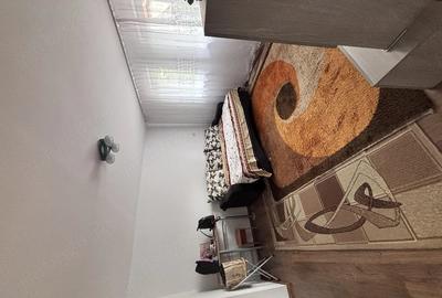 Apartament cu 3 camere decomandat în Valea Cerbului - 2