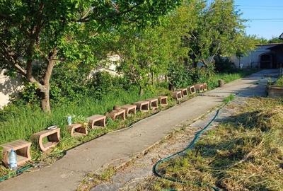 Casă cu 4 camere cu Teren 1000 Mp în Bran - 3