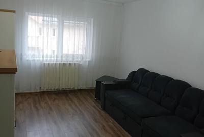 Apartament cu 2 camere decomandat în Sfântu Ilie - 4