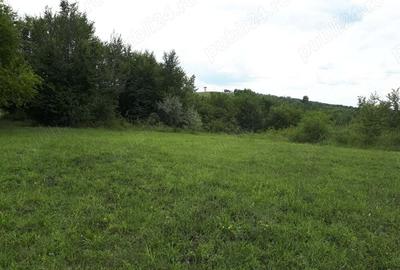 Teren de 3600 mp, în Valea Călugărească - 1
