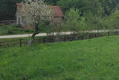 Teren de 1727 mp, în Stănija - 1