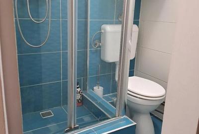 Apartament cu 2 camere decomandat în Iosefin - 5