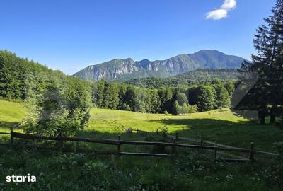 Teren de 2650 mp, în Central