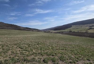 Teren de 600 mp, în Central - 4