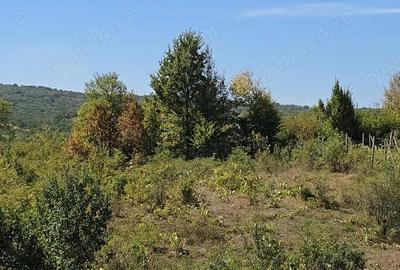 Casă cu 2 camere în Chicerea - 6