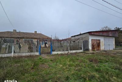 Casă cu 3 camere cu Teren 1763 Mp în Topraisar - 7