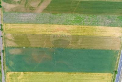 Teren agricol intravilan de 8600 mp, în Periferie - 5