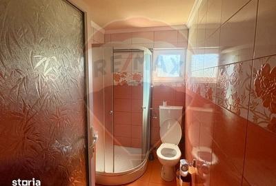 Casă cu 2 camere cu Teren 2744 Mp în Desești - 4