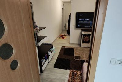 Apartament cu 2 camere semidecomandat în Valea Rosie
