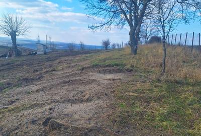 Teren de 7000 mp, în Solești - 9