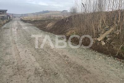 Teren Construcții intravilan de 9300 mp, în Șura Mare - 2