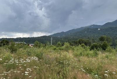 Teren de 1000 mp, în Cumpătu