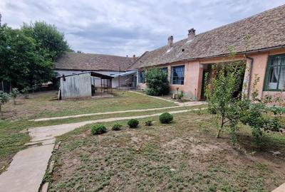 Casă cu 8 camere cu Teren 3651 Mp în Giulvăz - 17