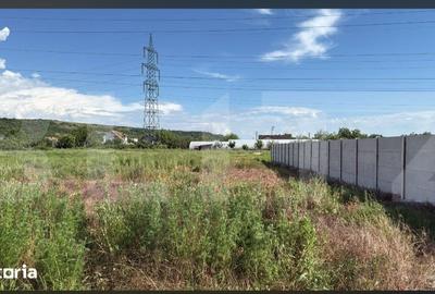 Teren de 4750 mp, în Curtișoara