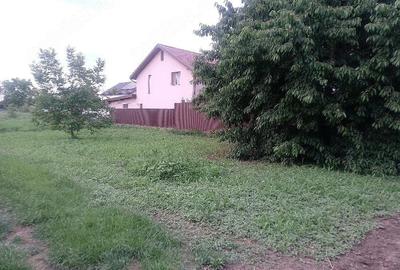 Teren de 500 mp, în Șerbănești - 2