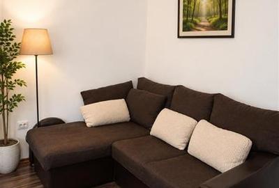 Apartament cu 2 camere decomandat, mobilat în Centrul Civic - 5