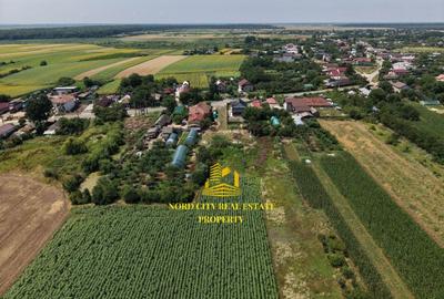 Teren Construcții intravilan de 2700 mp, în Urziceanca - 9