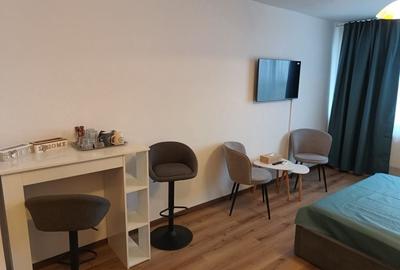 Garsonieră semidecomandată în Calea București - 8