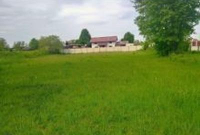 Teren Construcții intravilan de 1327 mp, în Cărpiniș - 1