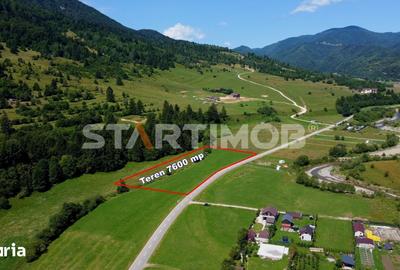 Teren de 7600 mp, în Plaiul Foii