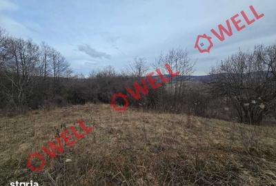Teren de 4200 mp, în Barcani - 2