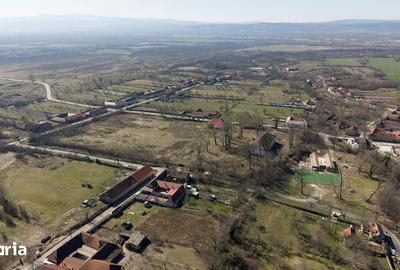 Casă cu 8 camere cu Teren 7235 Mp în Traian Vuia - 12