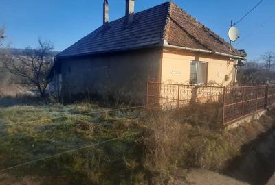 Casă cu Teren 1500 Mp în Pericei - 5