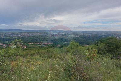 Teren Construcții intravilan de 3100 mp, în Dealuri Oradea - 1