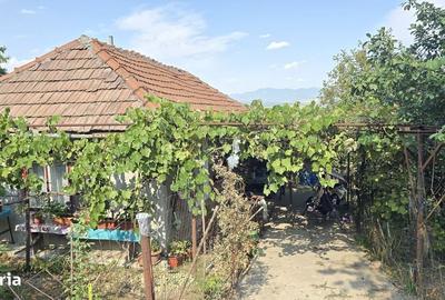 Casă cu 2 camere în Viile Noi