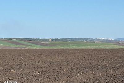 Teren de 5000 mp, în Rediu