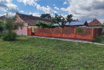 Casă cu Teren 1543 Mp în Șipet - 9