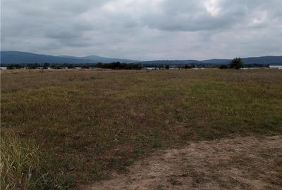 Teren de 2200 mp, în Moldova Veche