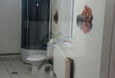 Casă cu 2 camere în Berchișești