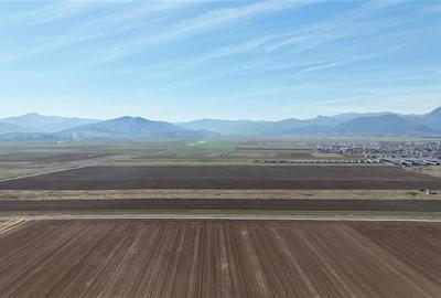 Teren agricol extravilan de 92700 mp, în Tărlungeni - 4