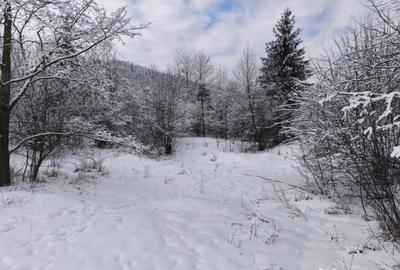 Teren de 22600 mp, în Sucevița - 11
