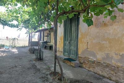 Casă cu 6 camere cu Teren 1480 Mp în Iecea Mare