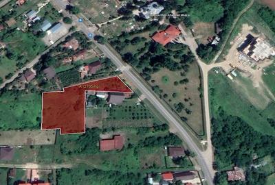 Teren de 2705 mp, în Gruiu - 5