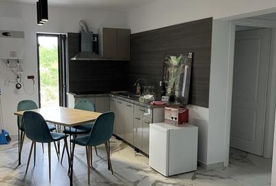 Casă cu 2 camere în Popoveni - 7