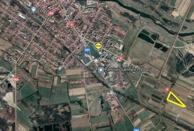 Teren Construcții intravilan de 11663 mp, în Lugojului