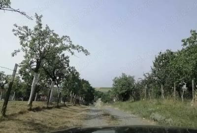 Teren de 1471 mp, în Silagiu - 4
