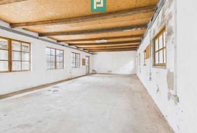 Spațiu industrial, de 82 mp, în Periam - 1