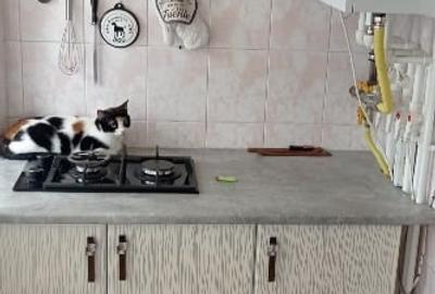 Apartament cu 2 camere decomandat în Far