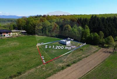 Casă cu 3 camere cu Teren 1200 Mp în Coaș - 3
