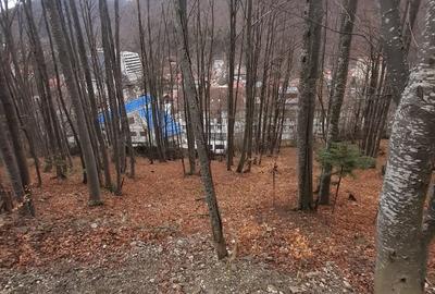Teren Construcții intravilan de 879 mp, în Sinaia - 2