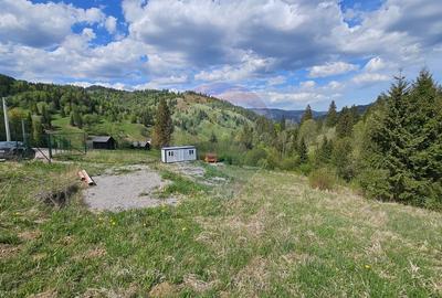 Teren agricol intravilan de 4048 mp, în Periferie - 10