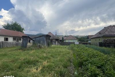 Casă cu 2 camere în Păpăuți - 1