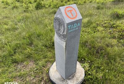 Teren de 18980 mp, în Dorna Candrenilor - 3